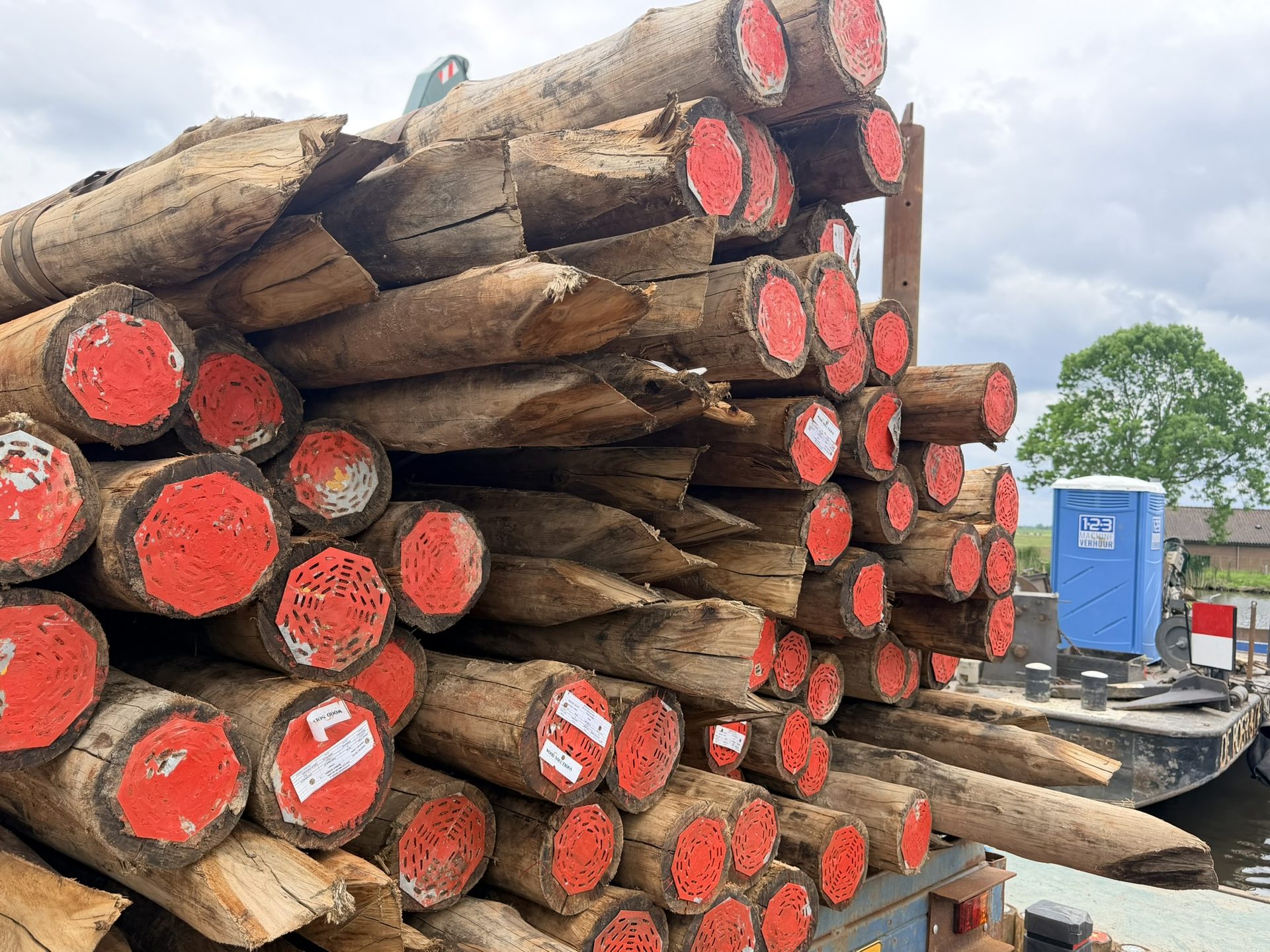 Dijkversterking Amsteldijk West met Eucalyptus cloeziana palen