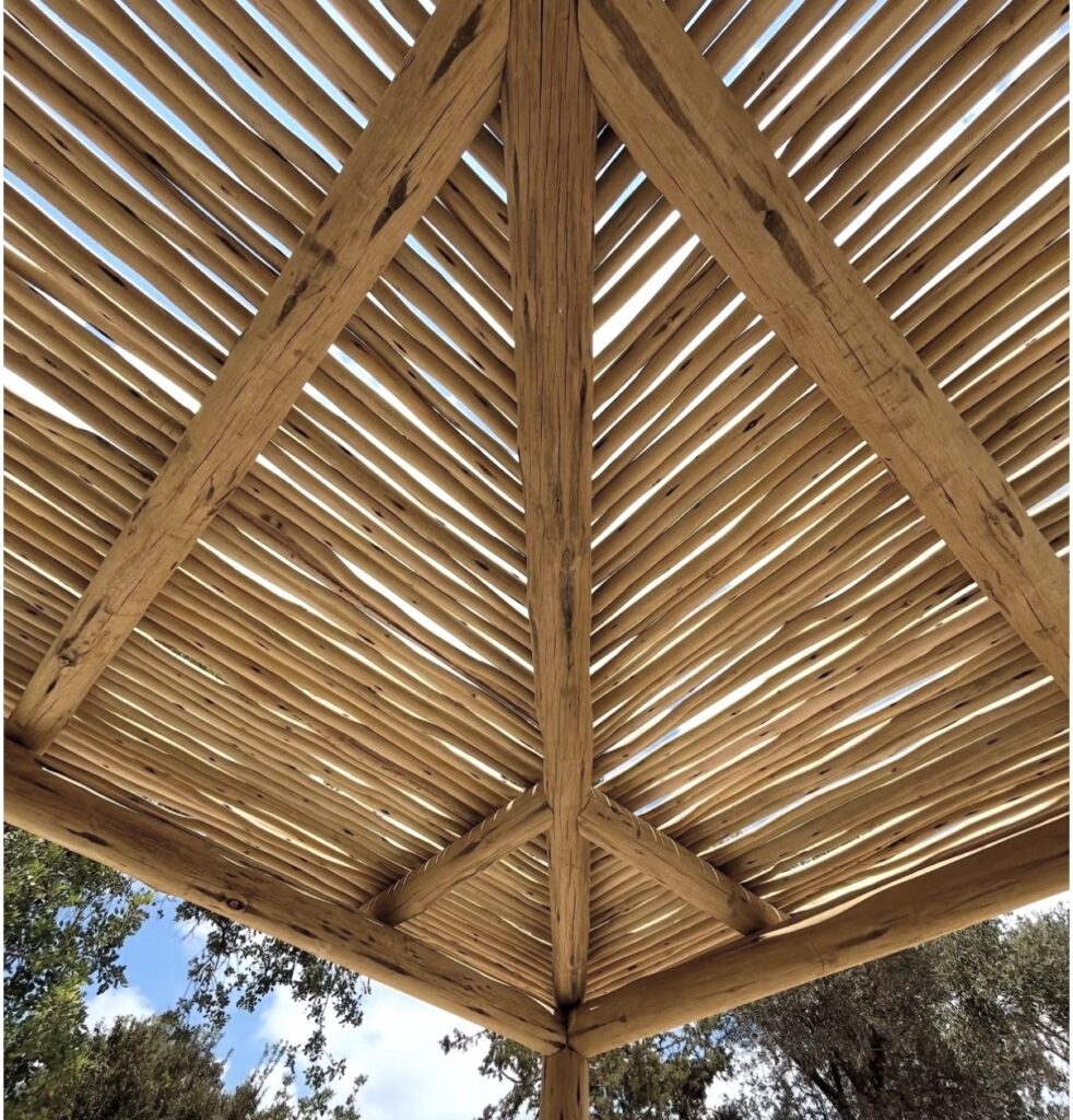 Eucalyptus Grandis palen in een bouwproject in Valencia