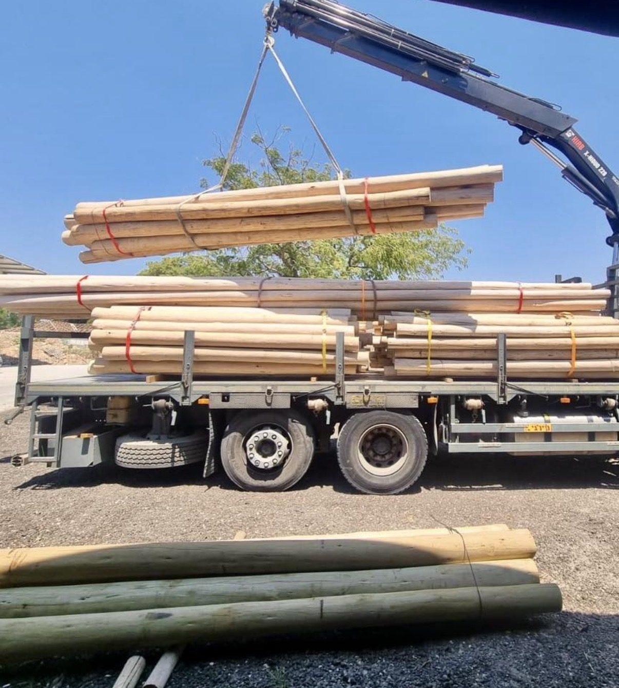 Eucalyptus Grandis palen in een bouwproject in Valencia