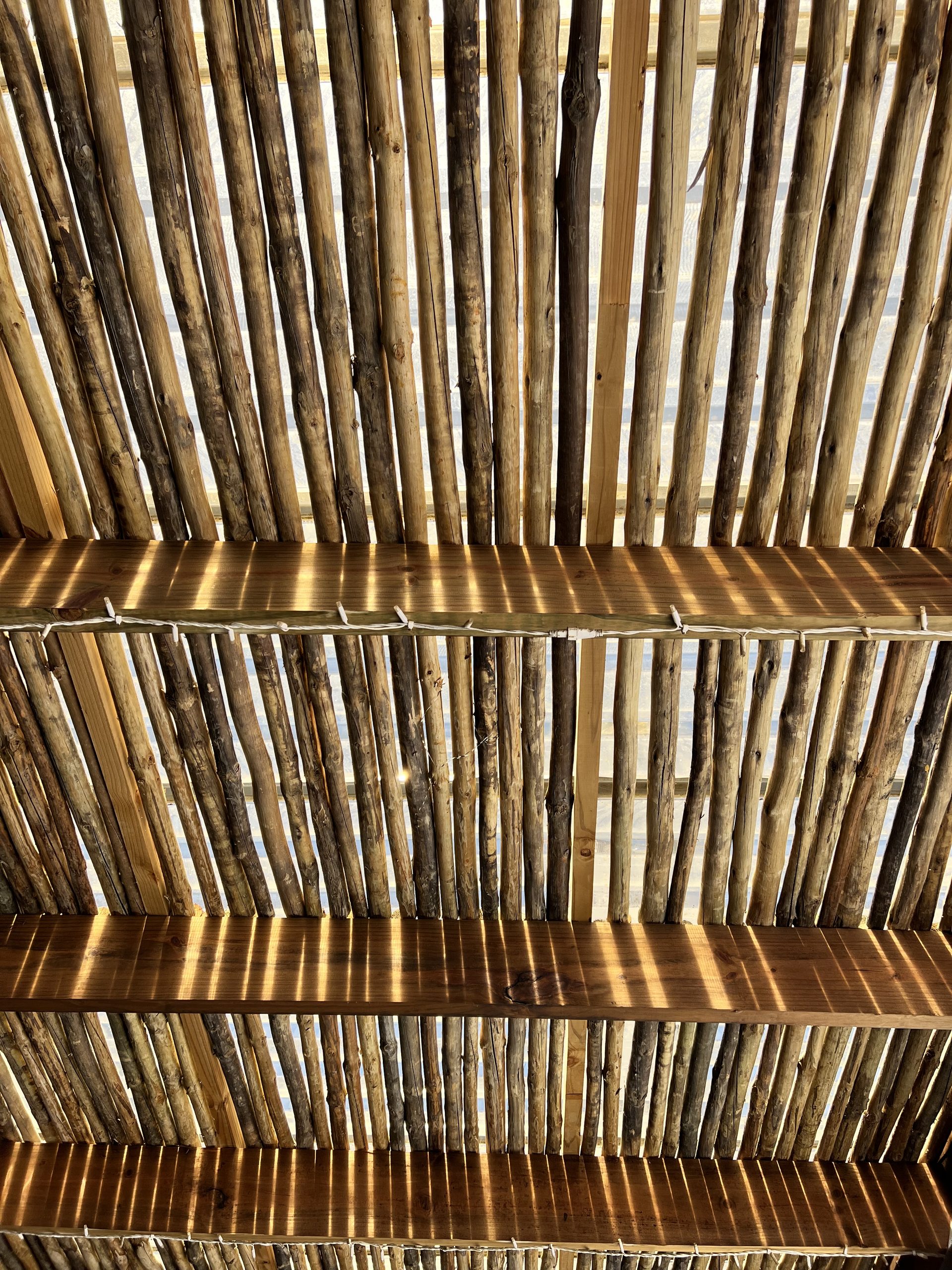 Eucalyptus Grandis palen in een bouwproject in Valencia
