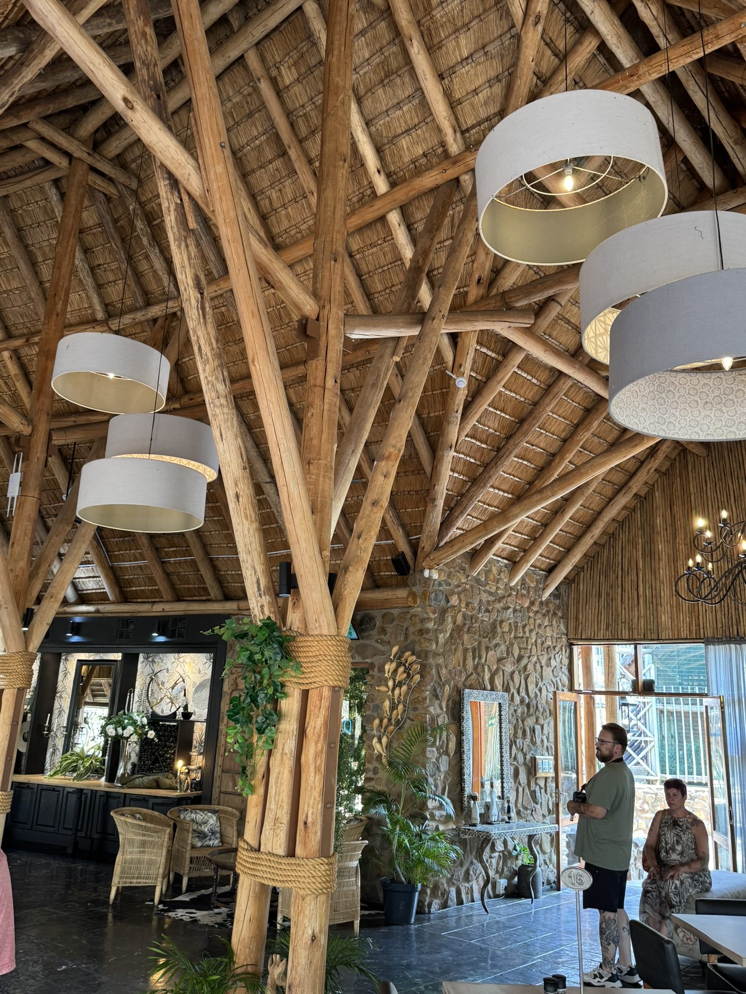 Eucalyptus grandis voor strandtenten bij Marseille
