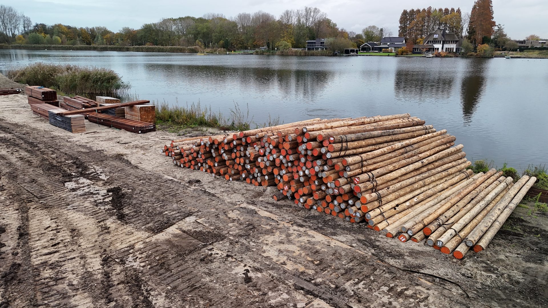 Eucalyptus cloeziana palen voor Parc Waal in Barendrecht