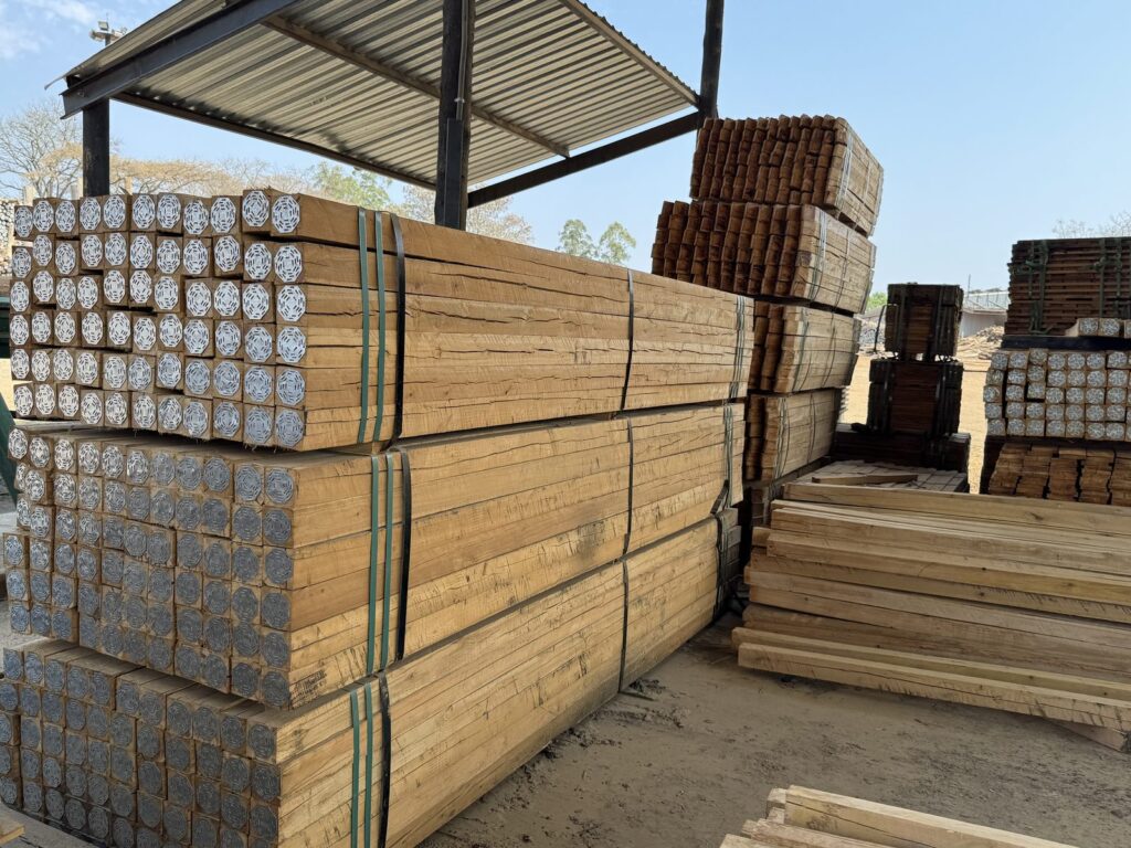 Gezaagd Eucalyptus Cloeziana hout in pakketten