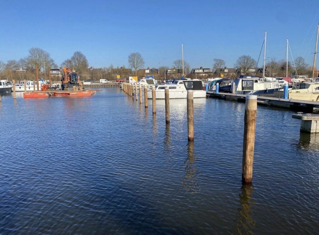Eucalyptus cloeziana meerpalen in de jachthaven van Schagen