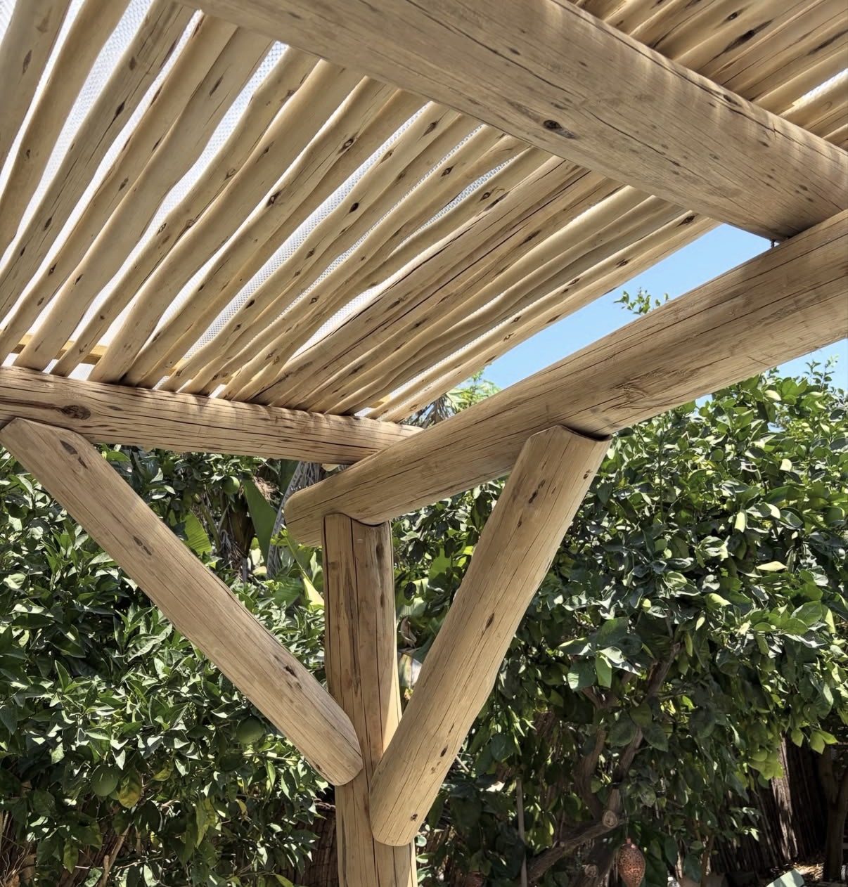 Pergola van eucalyptus cloeziana rondhout, Corsica