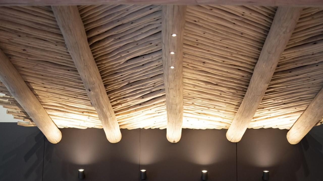 Plafond van eucalyptus latten met verlichting, project Israël