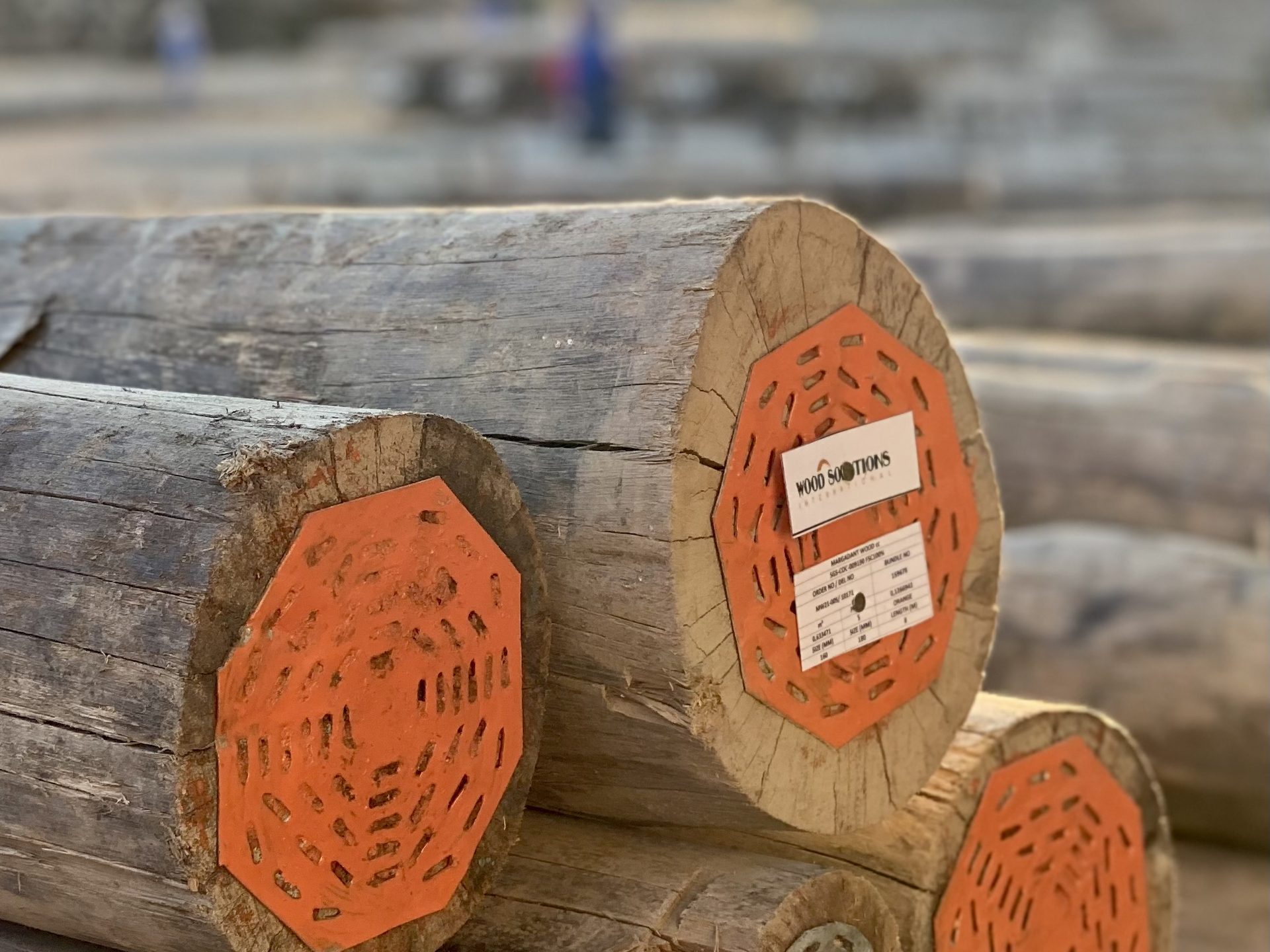 Eucalyptus cloeziana palen met gemerkte kopse kanten, Wijkergouw