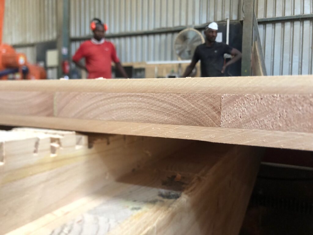 Gelamineerde eucalyptusbalk in de fabriek, met twee medewerkers
