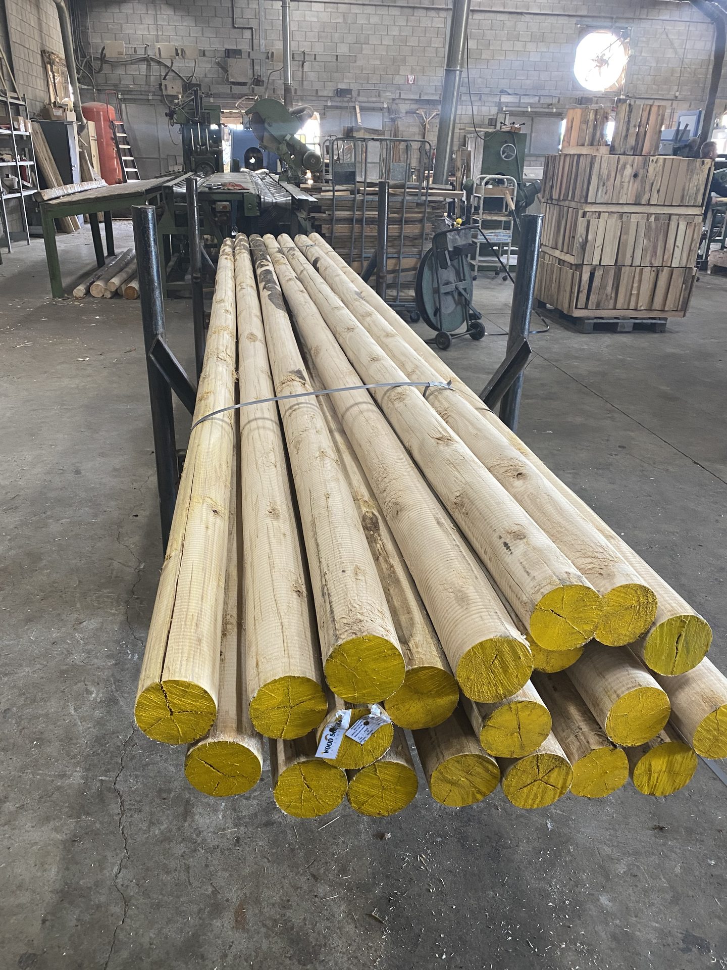 Freesmachine voor eucalyptus cloeziana palen in de fabriek