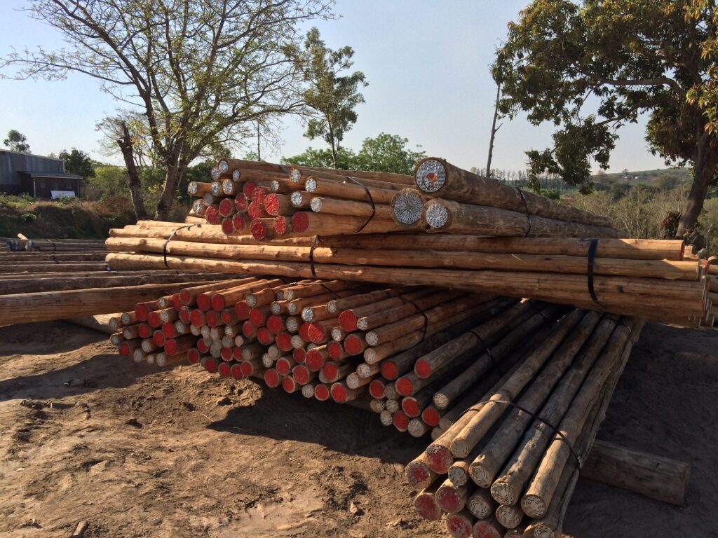 Ronde eucalyptus cloeziana palen in opslag bij Margadant Wood, Zuid-Afrika