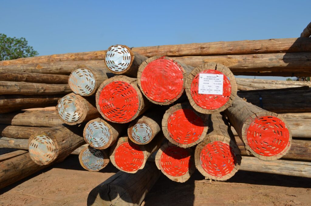 Kopse kant van ronde eucalyptus cloeziana palen, gesorteerd op diameter