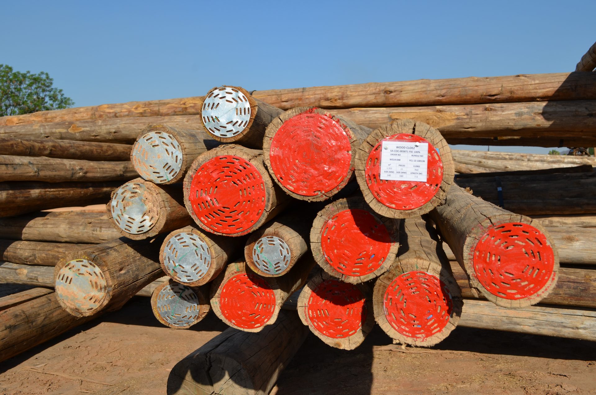 Kopse kant van ronde eucalyptus cloeziana palen, gesorteerd op diameter