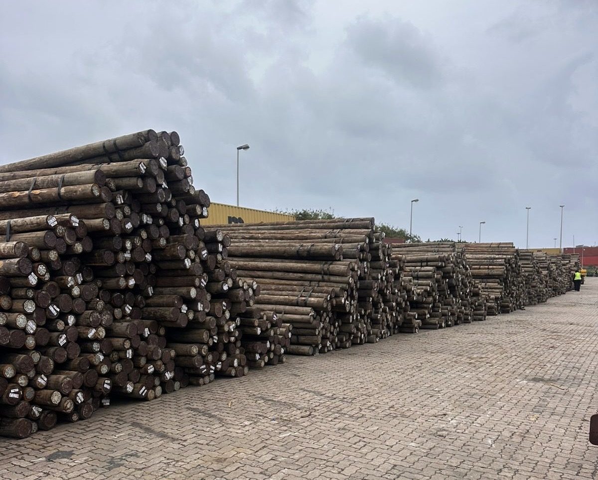 Voorraad ronde eucalyptus cloeziana palen